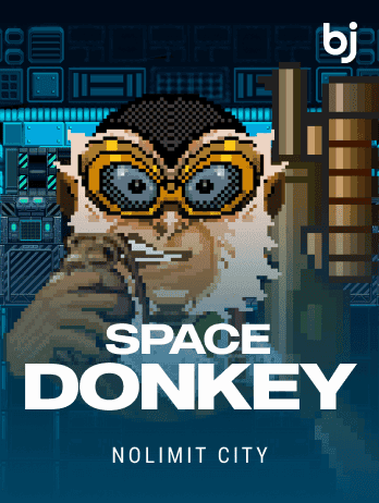 Space Donkeypng screenshot
